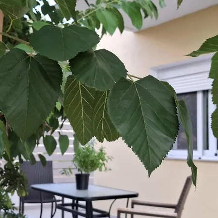 Appartement Emvasea Seaside