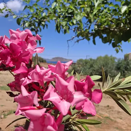 Emvasea Seaside Апартаменты Монемвазия