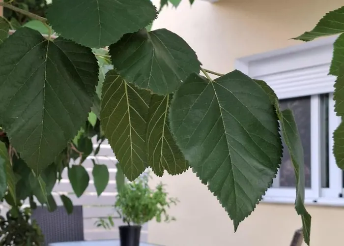 Appartement Emvasea Seaside