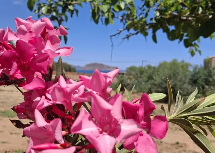 Emvasea Seaside Appartement Monemvasía